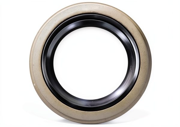 Wheel Bearing Seal FKG Double Lip 2.565 OD 3500lb-2