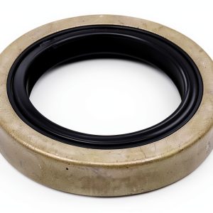 Wheel Bearing Seal FKG Double Lip 2.56" OD-0