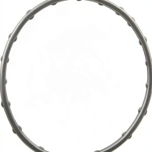 Throttle Body Gasket Fel-Pro Painted Fit-0